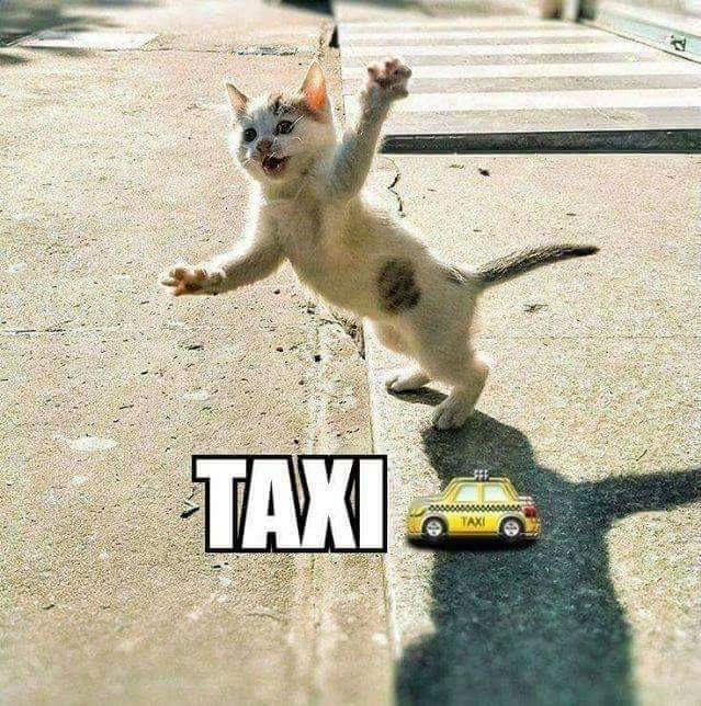 Photo Taxi 4 Urgences médicales